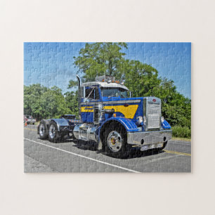 Puzzle de nez de l'aiguille de Schwanger