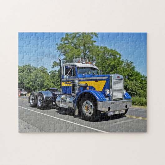 Puzzle de nez de l'aiguille de Schwanger (Horizontal)