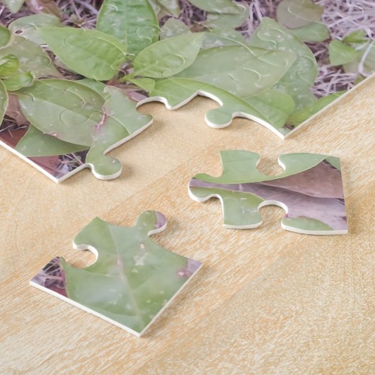 Puzzle de noisette de bûcheron (Côté)