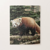Puzzle de Panda (Vertical)