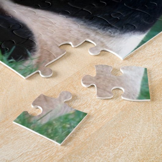 Puzzle de panda (Côté)