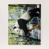 Puzzle de Panda (Vertical)