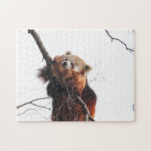 Puzzle de Panda rouge (Horizontal)