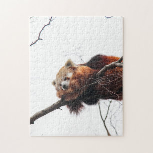 Puzzle de Panda rouge
