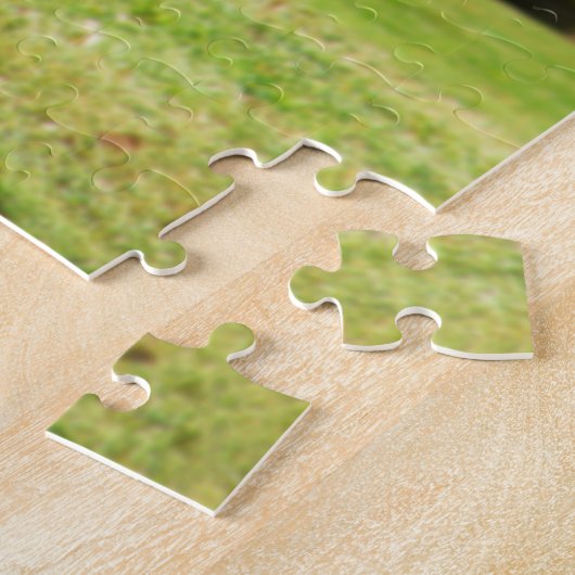 Puzzle de panier de golf de disque (Côté)