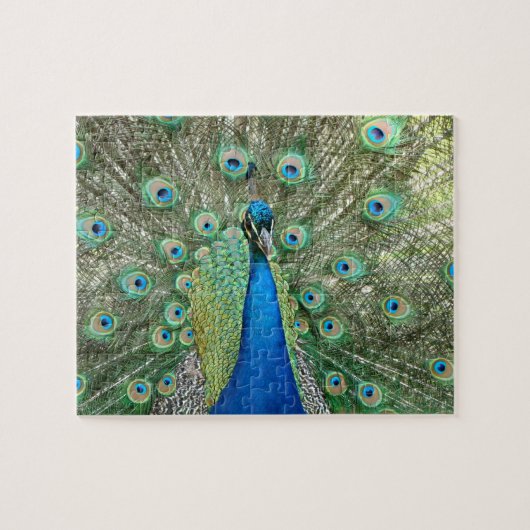 Puzzle de paon (Horizontal)