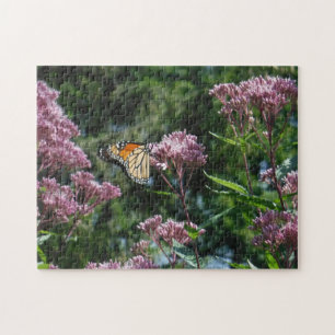 Puzzle de papillon