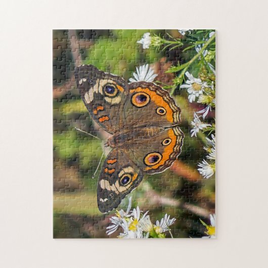 Puzzle de papillon commun (Vertical)