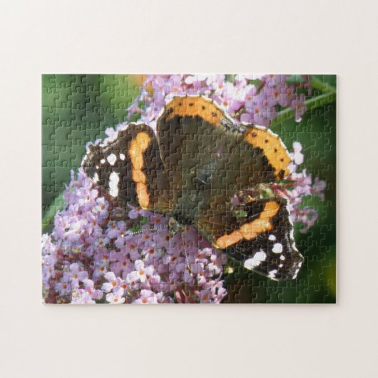 Puzzle de papillon et de fleurs de l'amiral (Horizontal)