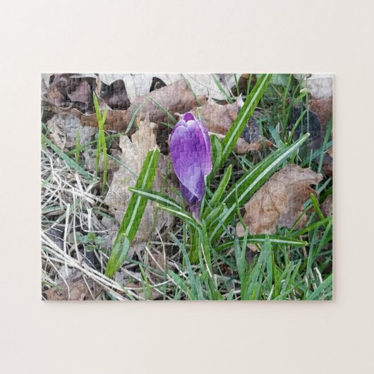Puzzle de paysage créatif avec des fleurs photo (Horizontal)