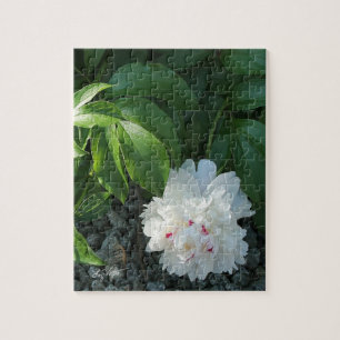 Puzzle de Peony précieux