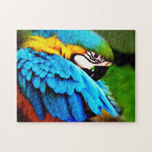 Puzzle de perroquet