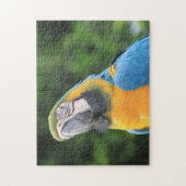 Puzzle de perroquet (Vertical)