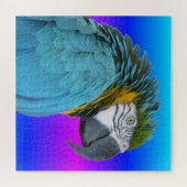 Puzzle de perroquets : Macaw jaune bleu (Horizontal)