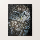 Puzzle de petit hibou (Vertical)