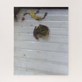 Puzzle de petite grenouille (Vertical)
