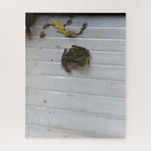 Puzzle de petite grenouille