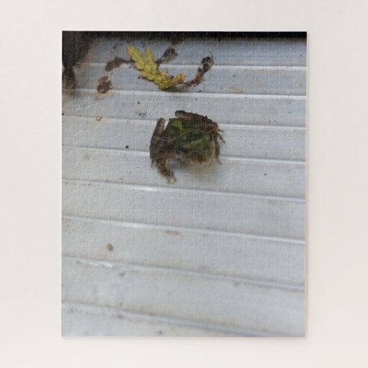 Puzzle de petite grenouille (Vertical)