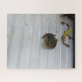 Puzzle de petite grenouille (Horizontal)