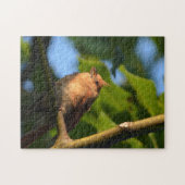 Puzzle de photo cardinal jeune bébé (Horizontal)