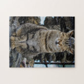 Puzzle de photo - chat dans Cinque Terre, Italie (Horizontal)