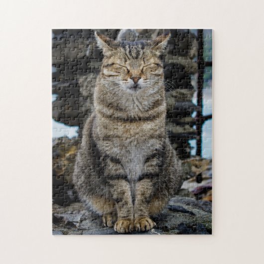 Puzzle de photo - chat dans Cinque Terre, Italie (Vertical)