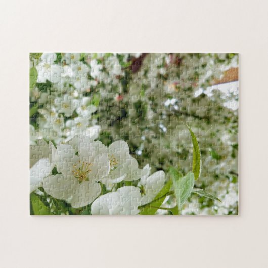 Puzzle de photo créative de fleurs blanches (Horizontal)