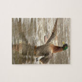Puzzle de photo de canard colvert (Horizontal)