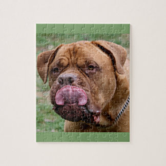 Puzzle de photo de Dogue de Bordeaux 8x10
