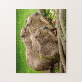 Puzzle de photo de famille de Capybara (Vertical)