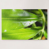 Puzzle de photo de feuilles vertes tropicales (Horizontal)