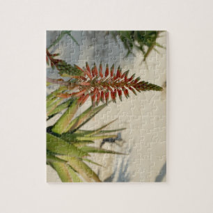 Puzzle de photo de fleur de fleur d'aloès avec la