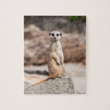 Puzzle de photo de Meerkat