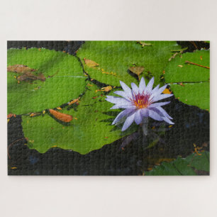 Puzzle de photo de nénuphar