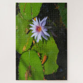 Puzzle de photo de nénuphar (Vertical)