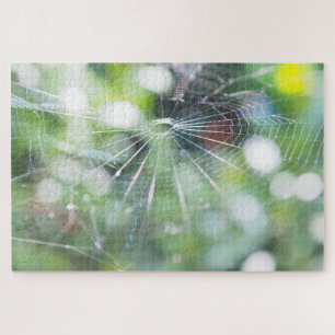 Puzzle de photo de toile d'araignée