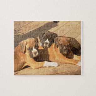 Puzzle de photo des chiots 8x10 de boxeur avec