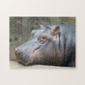 Puzzle de photo d'hippopotame (Horizontal)