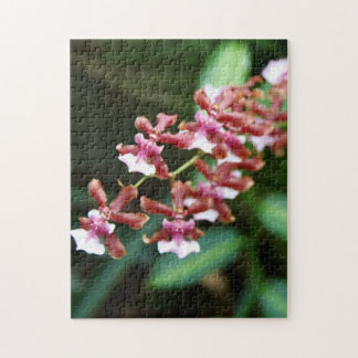Puzzle de photo d'Oncidium 10x14 de bébé de Sharry