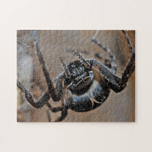 Puzzle de photos d'araignée arachnide adorable