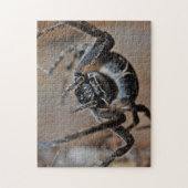 Puzzle de photos d'araignée arachnide adorable (Vertical)