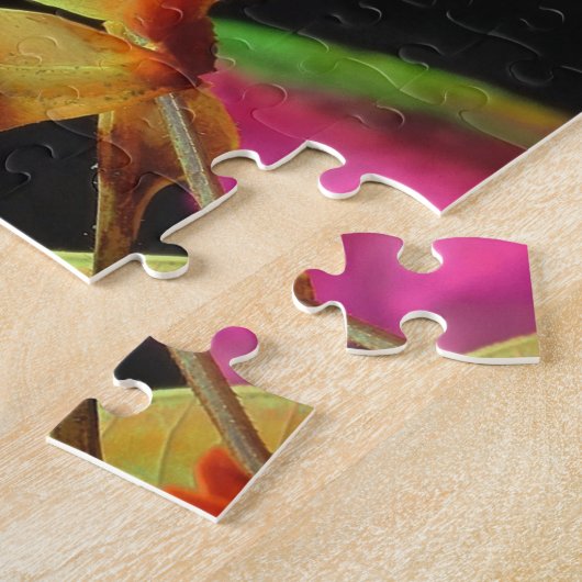 Puzzle de photos de Mantis en prière (Côté)