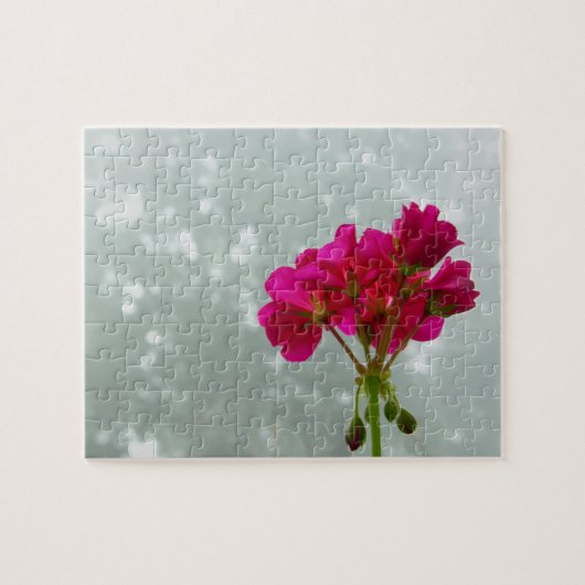 Puzzle de photos en géranium rose (Horizontal)