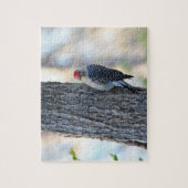 Puzzle de pic à ventre jaune (Vertical)