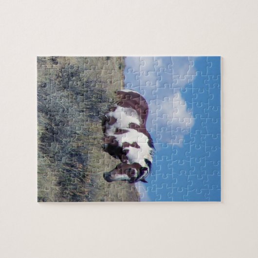 Puzzle de Picasso (Horizontal)