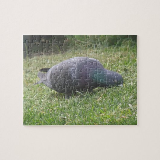 Puzzle de pigeon couchant (Horizontal)