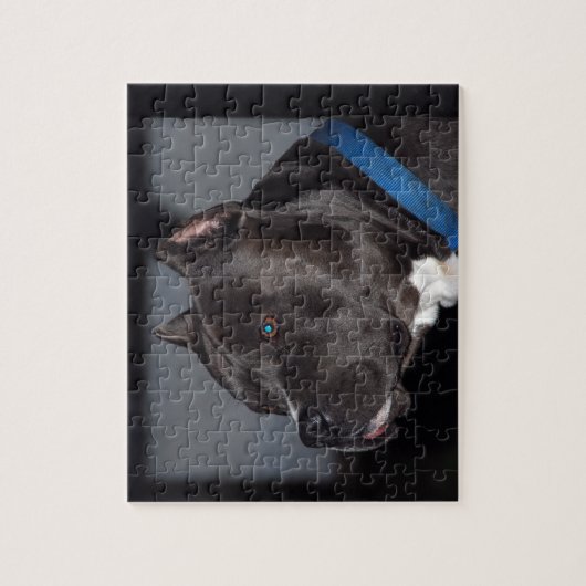 Puzzle de Pitbull (Vertical)