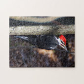 Puzzle de pivert de Pileated (Horizontal)