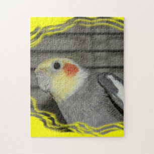 PUZZLE de plan rapproché de Cockatiel