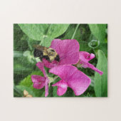 Puzzle de pois doux et d'abeilles (Horizontal)